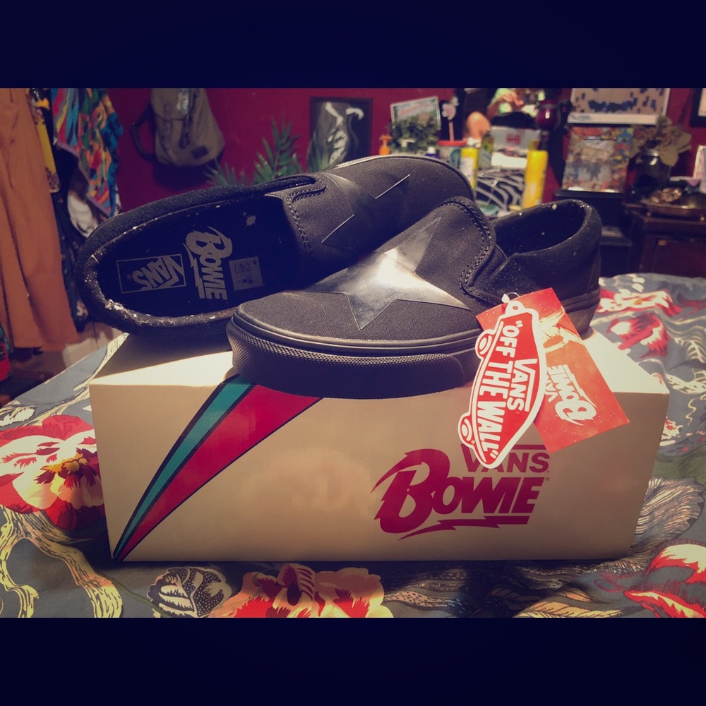 Vans x David Bowie Slip-On Blackstar Skate Shoes
